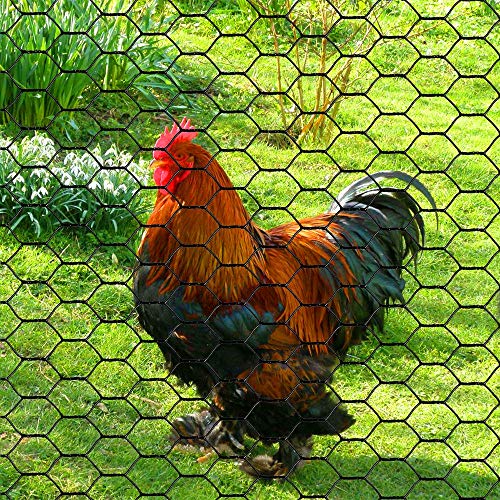 Mtb Pvc Hexagonal Poultry Netting Chicken Wire 48 Inches X 150 Feet X 1 Inch Mesh 20Ga Black #TOP4
