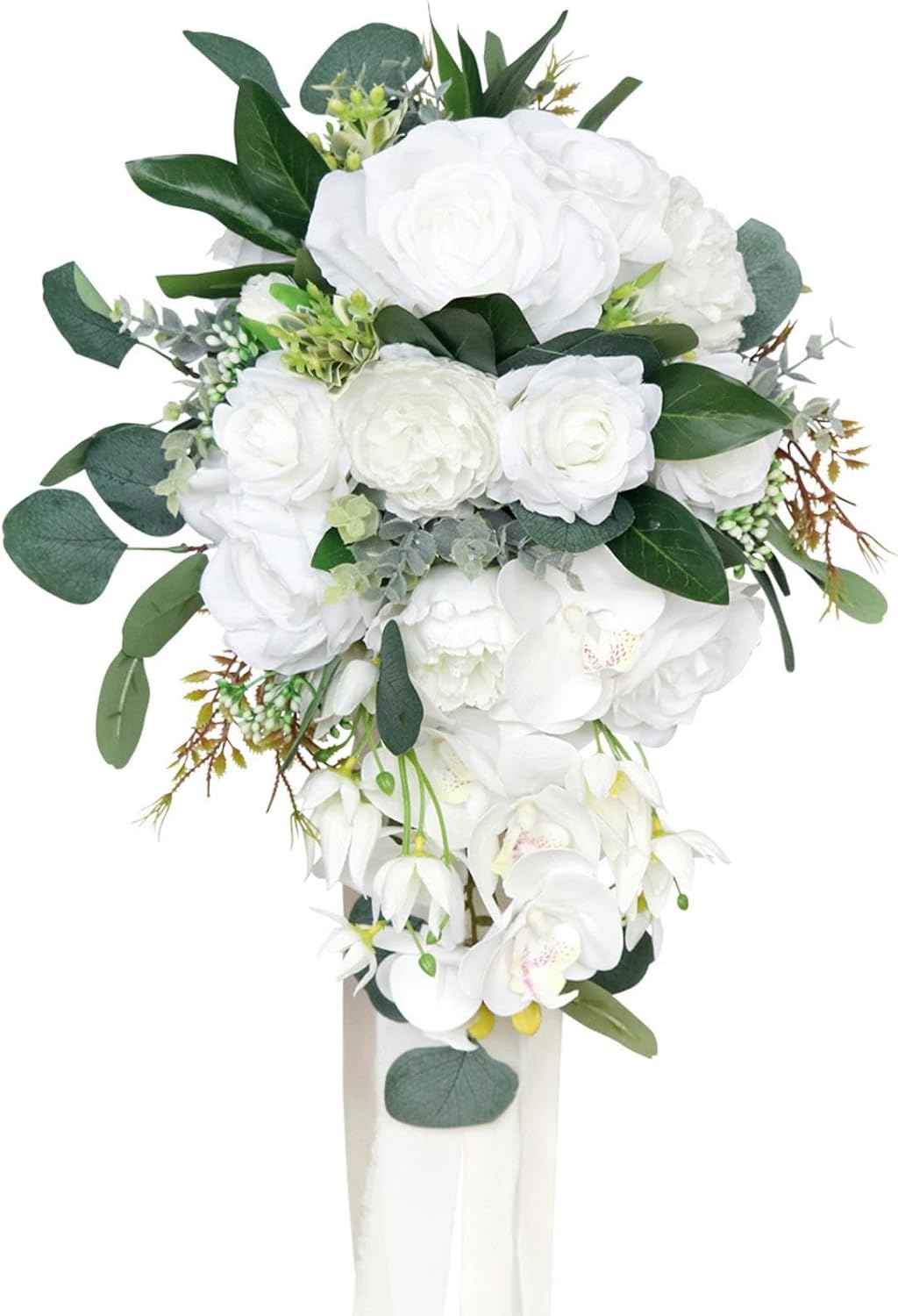 アナベル D⑤ 白いアジサイ 挿し芽2年目幼苗 アメリカ紫陽花 抜き苗1