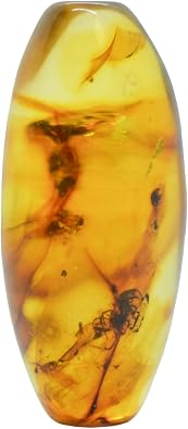 Baltic Amber Fossil with Flies Insect - Natural stones - 5.0g - Collector Item