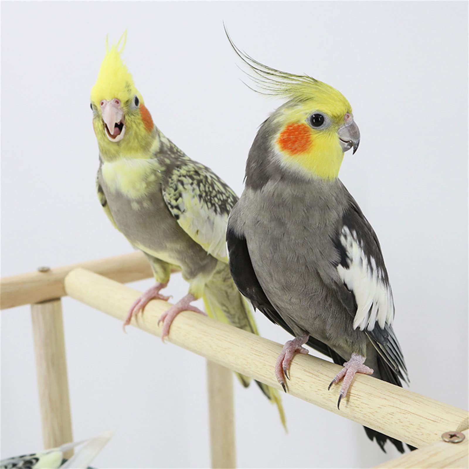 Spielständer Sitzstange Gym Vogel Gym Sittiche Spielzeug Vogelspielzeug Vogelkäfig Ständer Sitzstange Ständer Spielständer