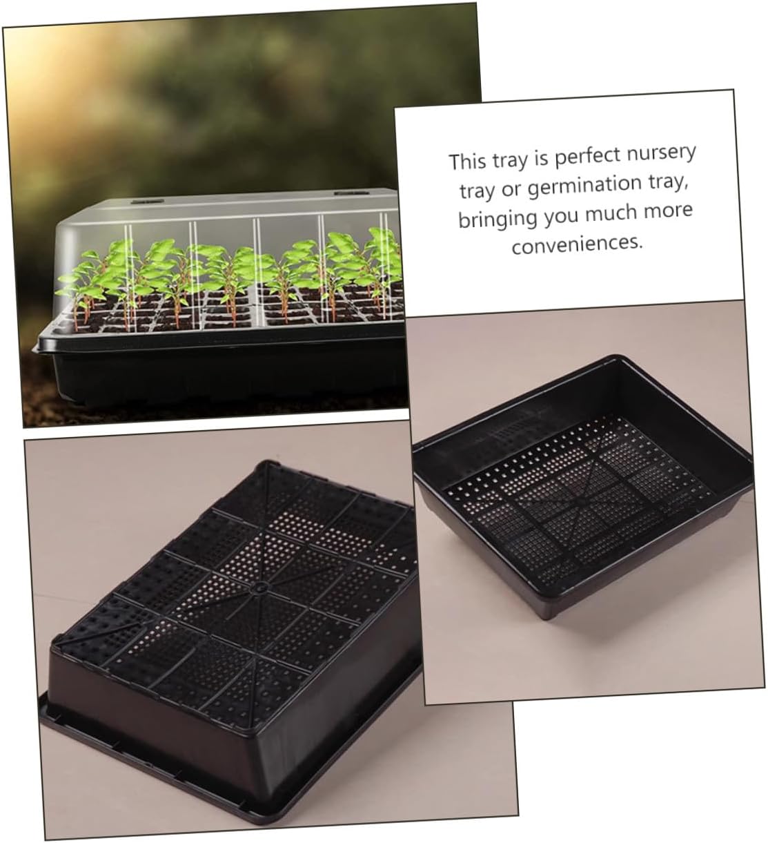 Seedling Starter Tray with Elevated Dome Cover Plastic Nursery Tray for Succulent and Carnivorous Plant Germination for Indoor Seedling Cultivation