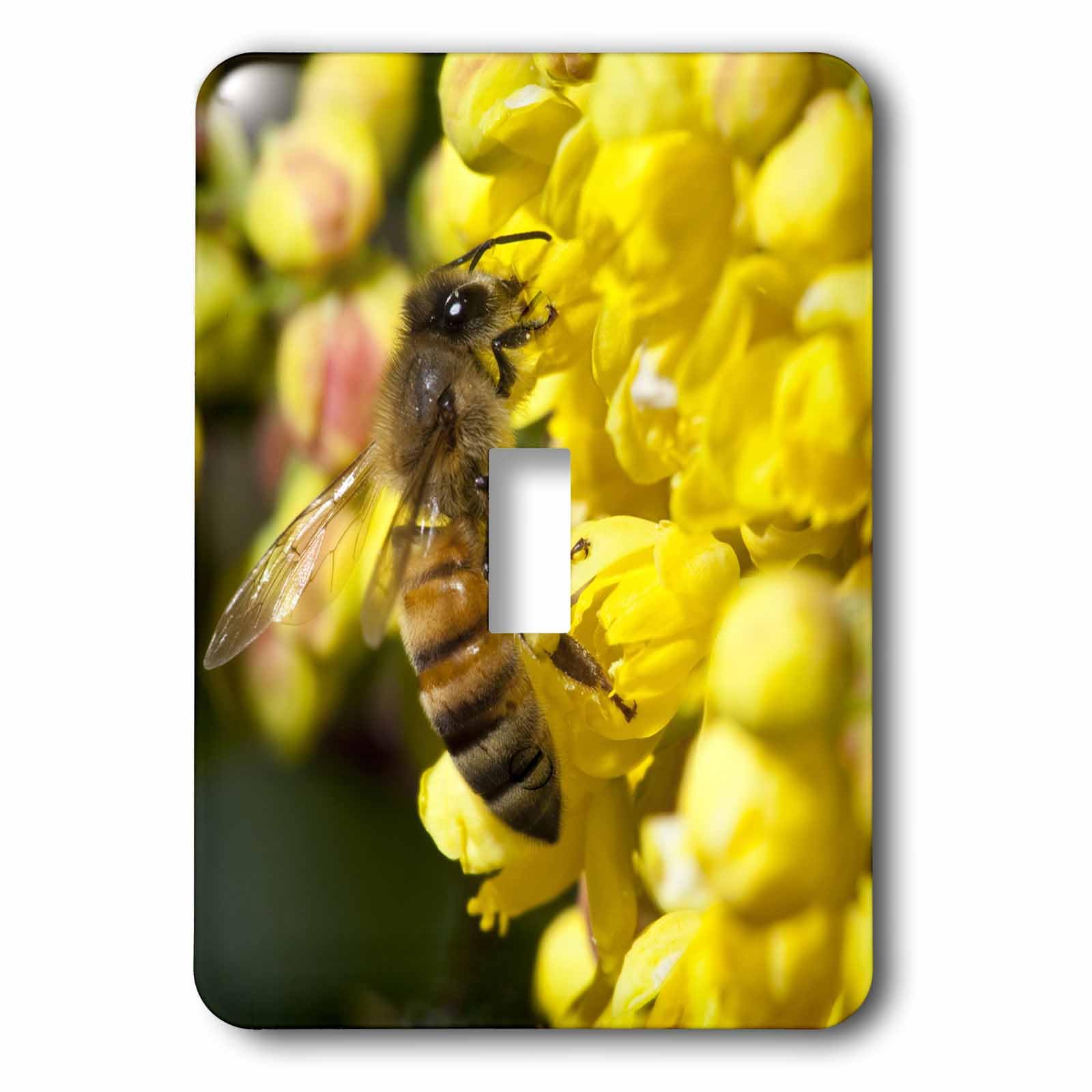 Interrupteur imprimé abeille 3drose LSP 93933 1, plaque murale artistique de haute précision