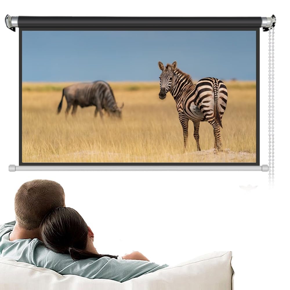 Schermo Per Proiezione Retrattile Schermo Proiettore Avvolgibile Manuale 40 50 60 Pollici Telo Videoproiettore Per Scuola Cinema Teatro(50inch (4:3))