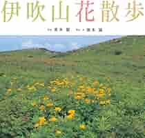 【中古】 伊吹山の花/ほおずき書籍/安原修次 ほおずき書籍出版紹介 《伊吹山の花》