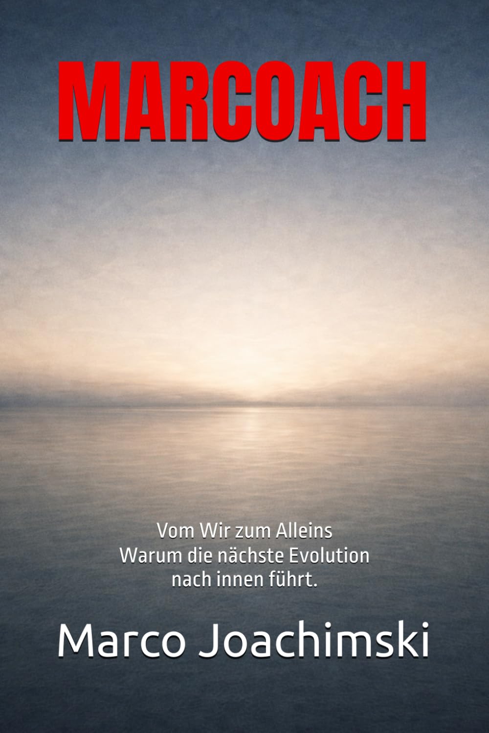 Vom Wir zum Alleins: Warum die nächste Evolution nach innen führt.