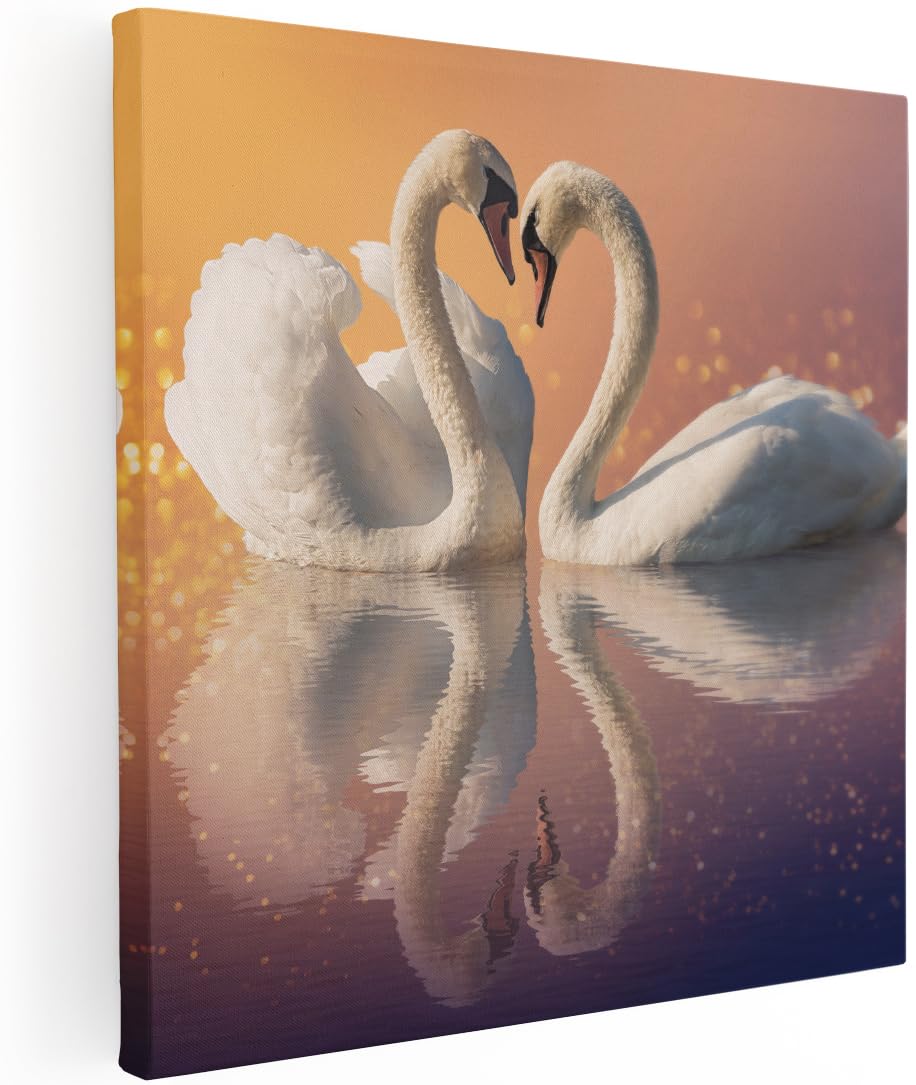 Artaza Cuadros Decoración Salón Modernos Cisnes Corazón - 70x70 cm - Cuadros Decorativos Pájaros Decorativos - Decoración Pared Dormitorios - Lienzo Animales