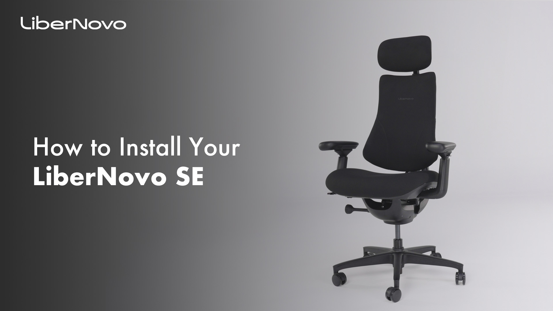 Amazon.com: LiberNovo SE Dynamic Ergonomic Office Chair with