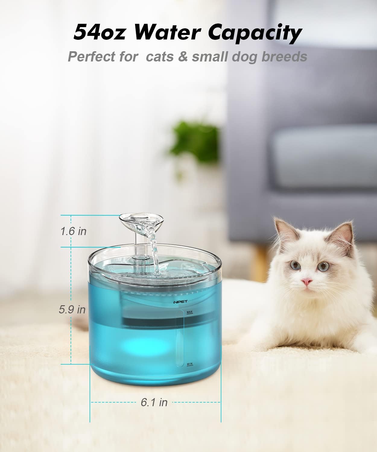 NPET WF100 Cat Water Fountain dimensions and capacity