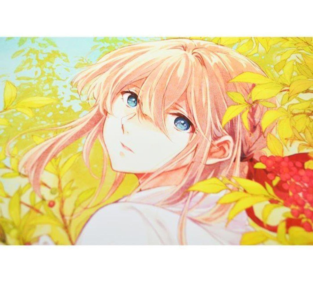 Amazon.co.jp: ヴァイオレットエヴァーガーデン 額装 アート アニメ