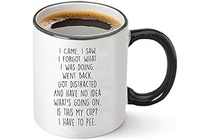 I Came I Saw I Forgot What I Was Doing Coffee Mug