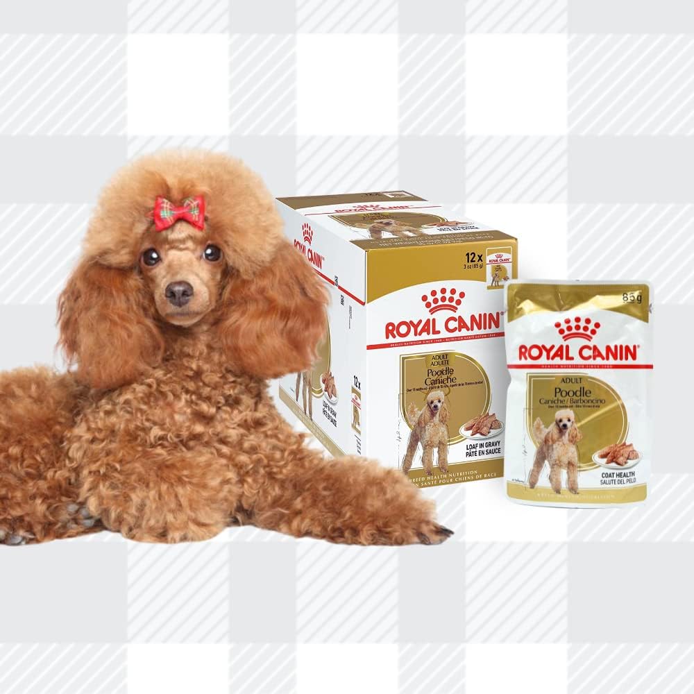 AETN Creations Wet Poodle Dog Food Bundle 12x85g Pouches plus AETN Coaster, Tailored Nutrition for Your Precious Poodle Over 10 Months Old