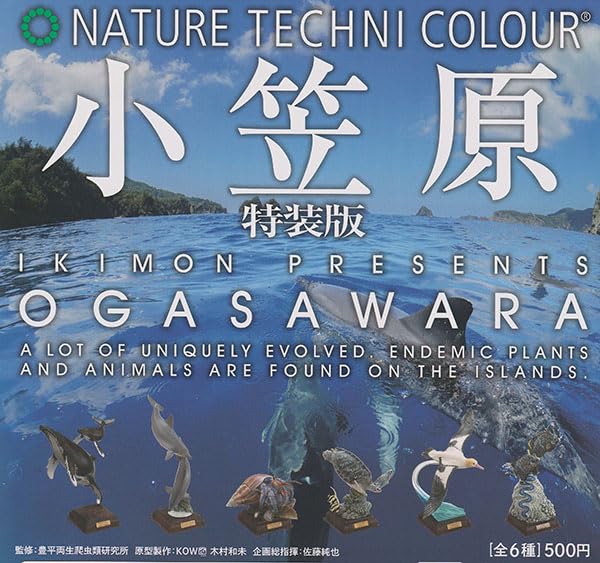 Amazon.co.jp: ネイチャーテクニカラー 小笠原 特装版 全6種セット