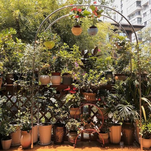 Arche à rosiers 2m treillis extérieur résistant plantes grimpantes - 8