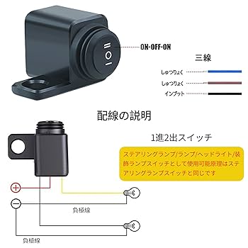 邦楽 SwitchLight 邦楽 SwitchLight Nintendo Switch™ Lite - Blue -(Japan