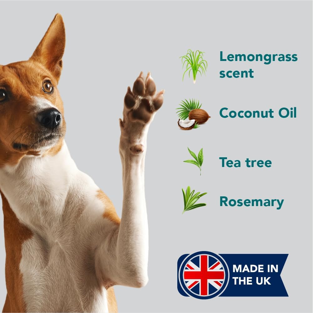 The Healthy Dog Co - 6-in-1 All-Natural Dog Shampoo and Conditioner for Smelly and Itchy Skin Dogs - Sensitive Oatmeal Puppy Shampoo - Made with Natural and Organic Ingredients - 500ml 7