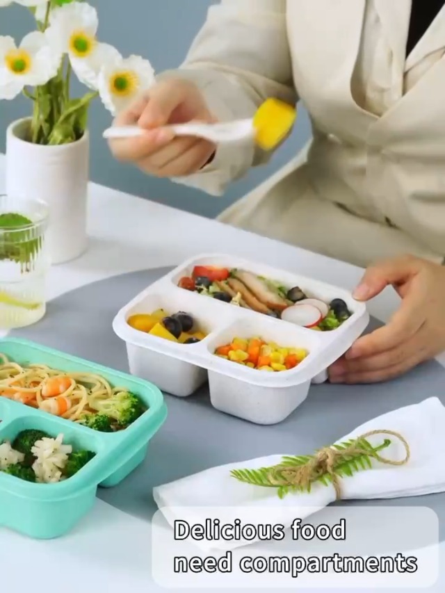 Everusely – Bento-Box für Kinder – Grün - 0,8 L – Lunchbox aus