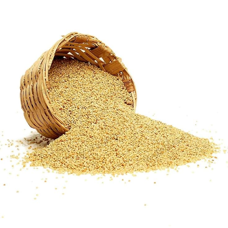 Foxtail Millet for Birds-image-5