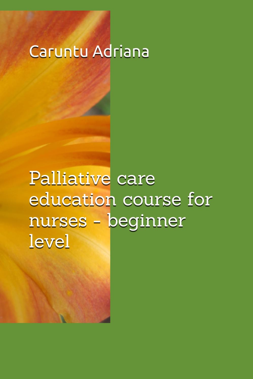 Palliative care education course for nurses - beginner level: 7