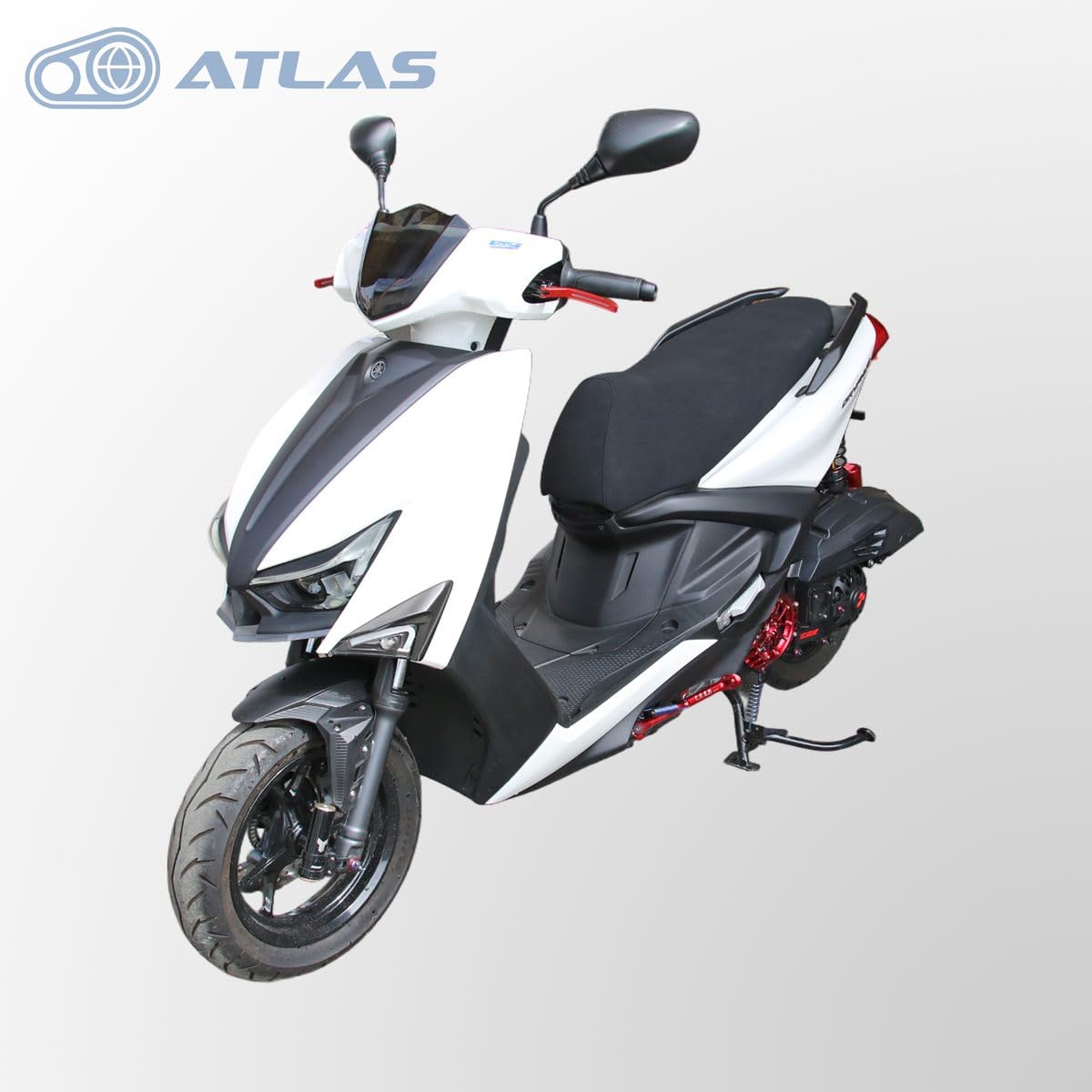 Amazon | ATLAS 6型 シグナス グリファス CYGNUS GRYPHUS スエード