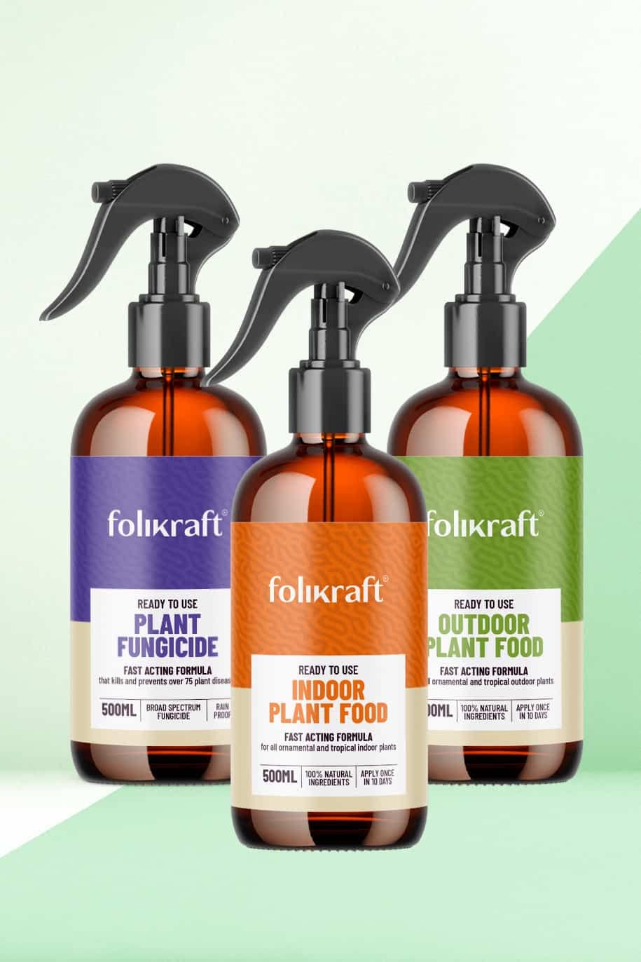 Buy Folikraft Essentials Combo(3pack) 1pc Folikraft Indoor Fertilizer