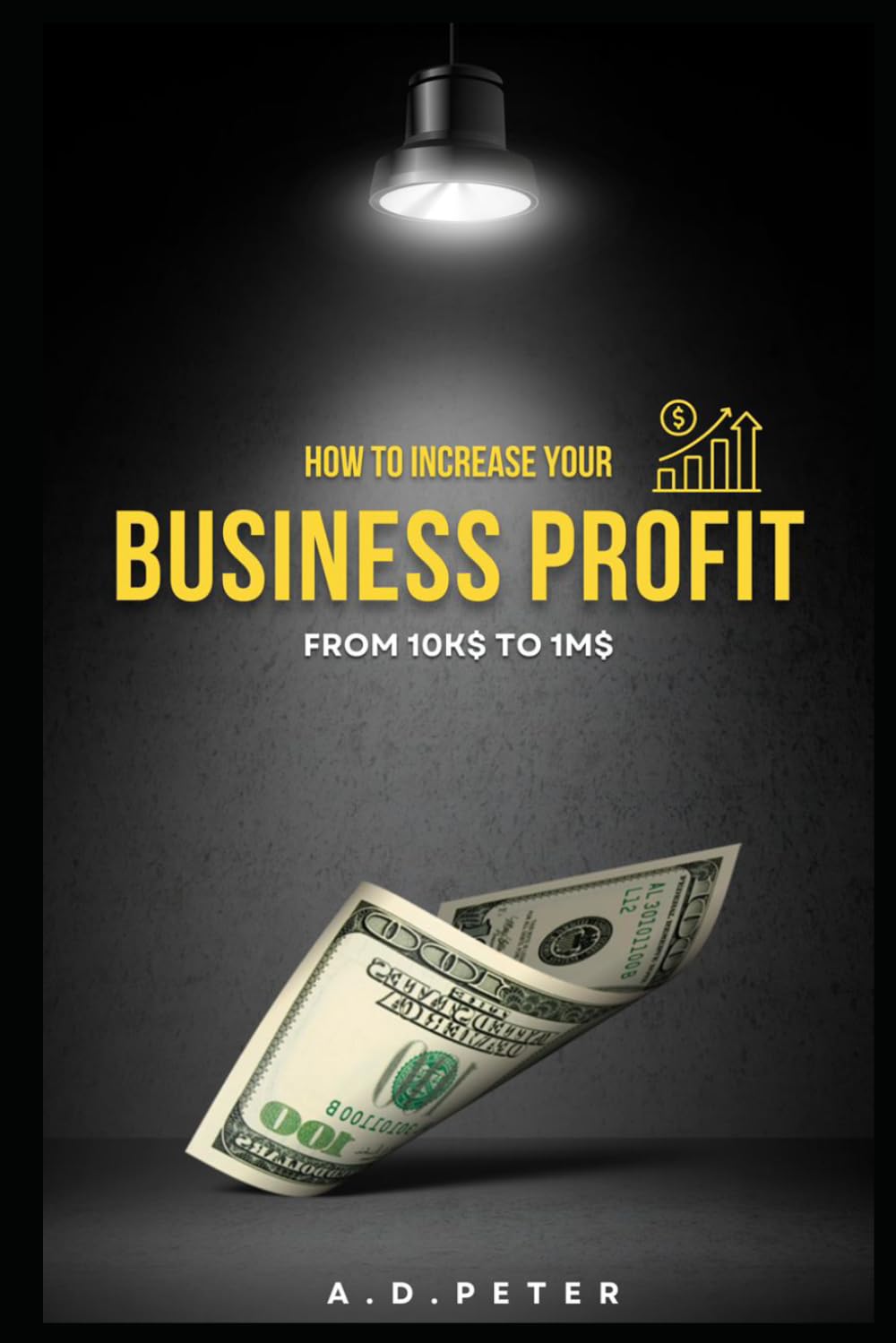 HOW TO INCREASE YOUR BUSINESS PROFIT FROM $10K TO $1M