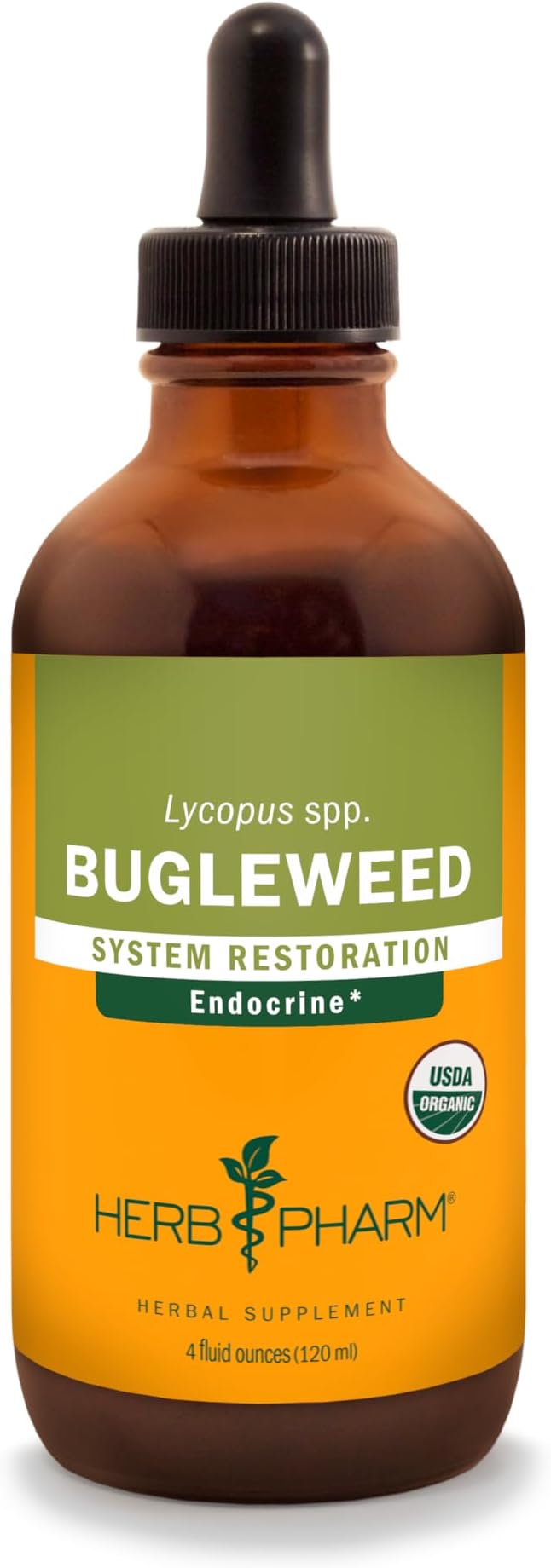Bugleweed Liquid Extract for Endocrine System Support - 4 Ounce