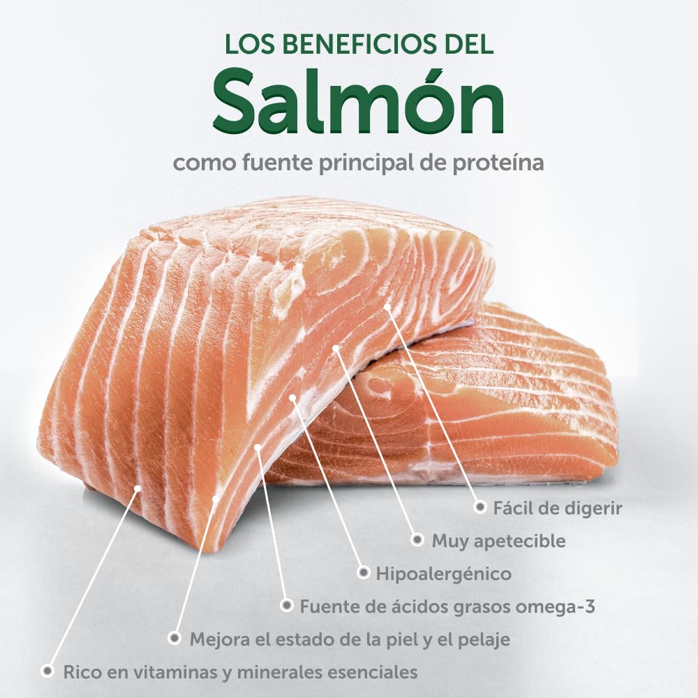 Nature's Protection Superior Care Pienso hipoalergénico, Salmón 10 kg | Digestión suave para estómagos sensibles, Reduce el riesgo de alergias, Sin cereales, Perros adultos, todas las razas