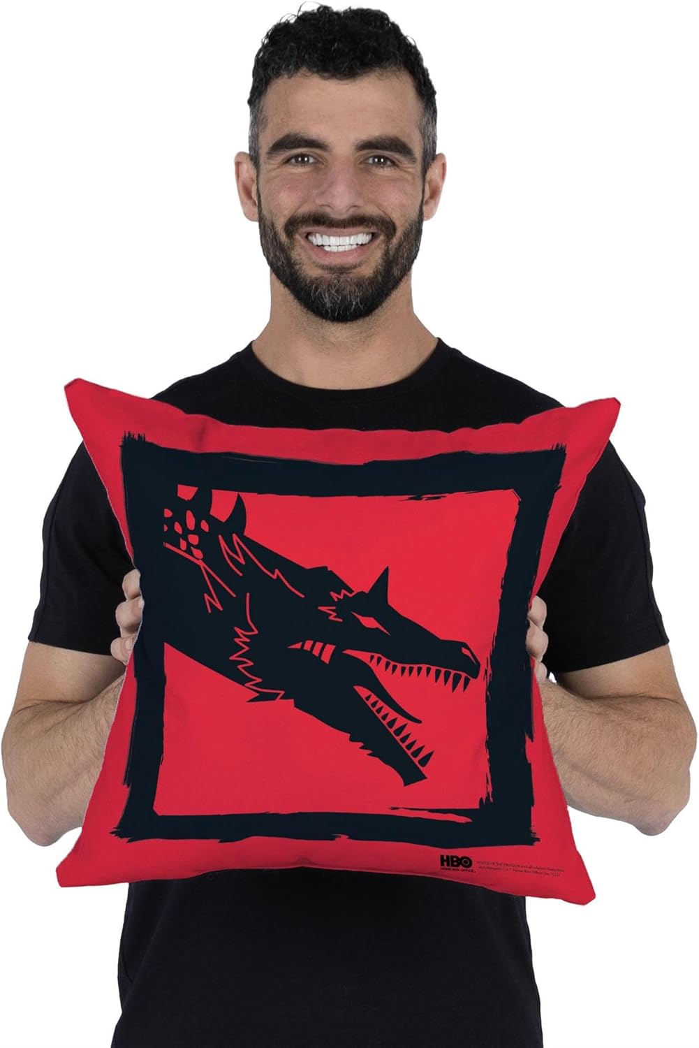 NORTHWEST Game of Thrones Pillow, 18" x 18", Year of The Dragon Red Dragon