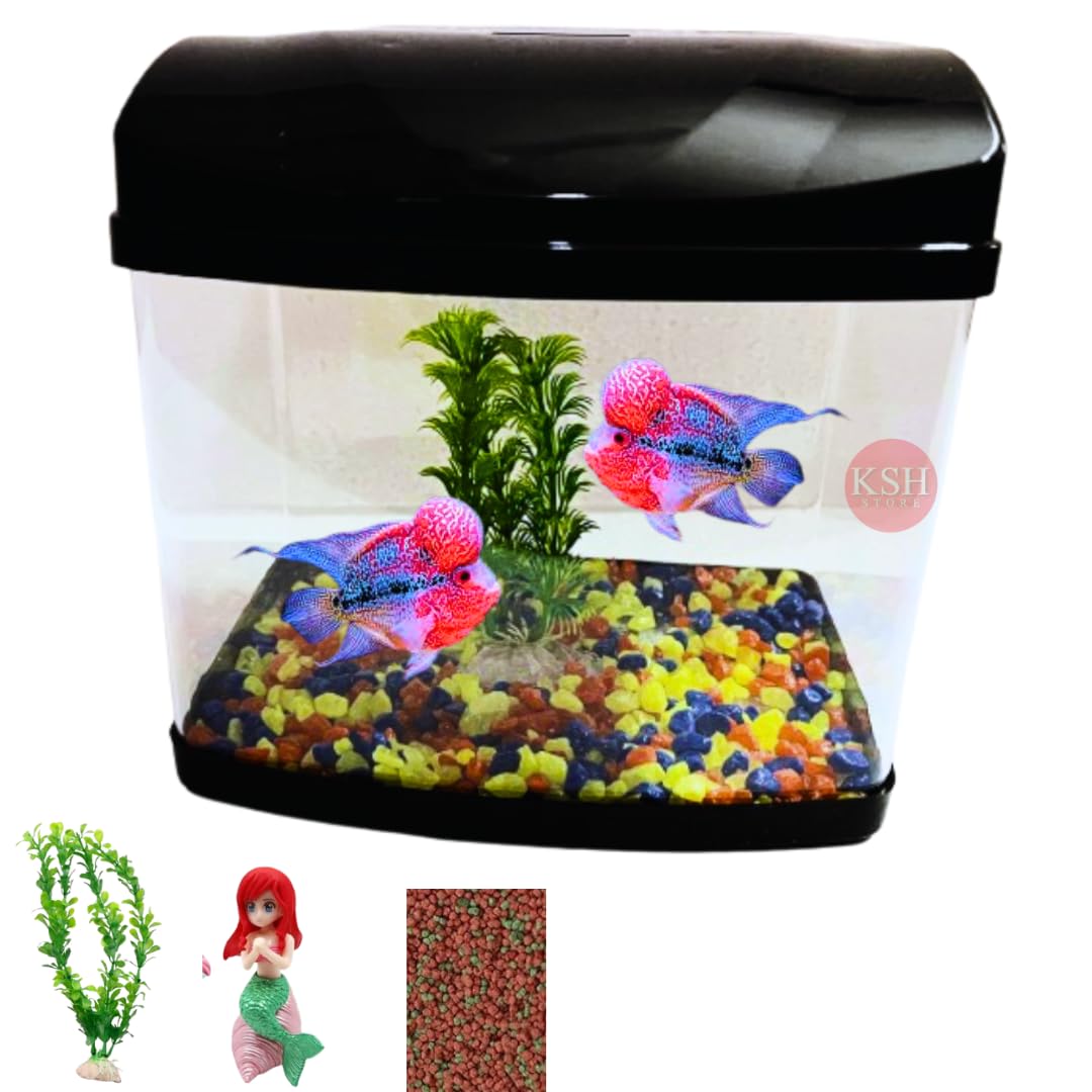 Big Mini Aquarium Fish Tank, Artificial Plant, Mermaid Toy, Fish Food 50G, 18.5x19x13.5 cm, 3.5L Capacity, D (NO Light)-image-44