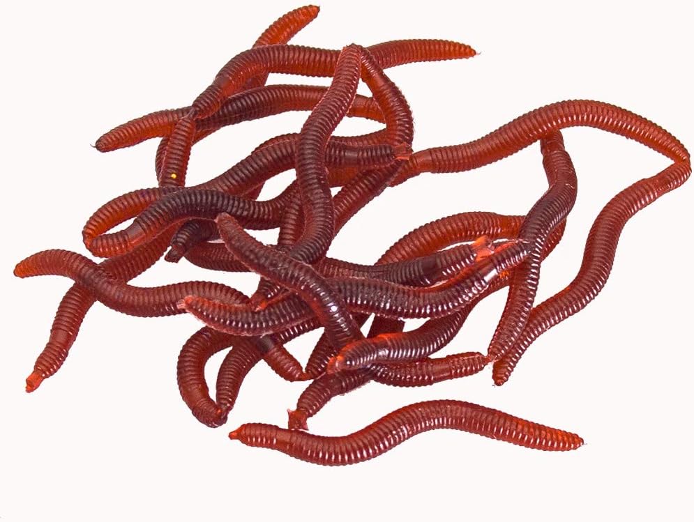 BeeSpring 100PCS Worms Soft Fishing Lure Baits
