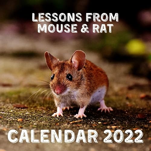 Lessons From Mouse &amp; Rat Calendar 2022: September 2021 - December 2022 Monthly Planner Mini Calendar With Inspirational Quotes