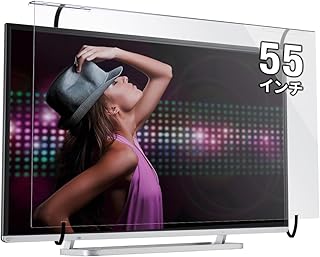 サンワダイレクト 液晶テレビ保護パネル 