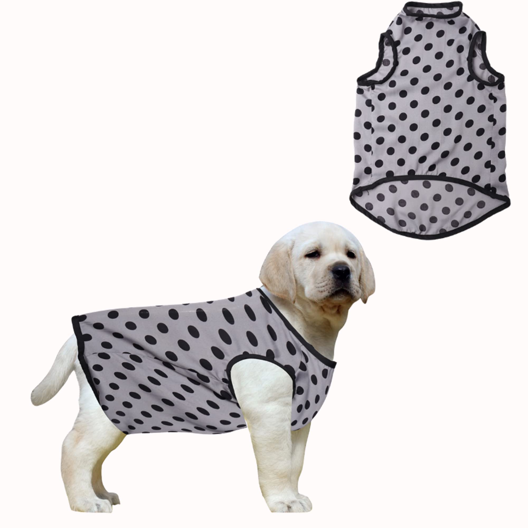 See full amazon price history chart for Western Era Funky Soft Cotton Dog T-Shirt | Comfortable & Breathable Dog Clothing | Sleeveless Vest Puppy Outfit |(Polka Grey) (XXSmall) (10inches) (XSmall - 12 inch, Polka Grey) Western Era Funky Soft Cotton Dog T-Shirt | Comfortable & Breathable Dog Clothing | Sleeveless Vest Puppy Outfit |(Polka Grey) (XXSmall) (10inches) (XSmall - 12 inch, Polka Grey) (B0BD5DWBSM) Amazon Price History, Amazon Price Tracker