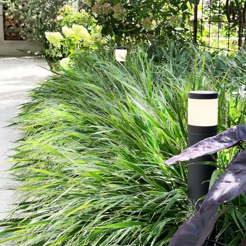 Iluminación de jardín LED Plug & Play para instalar sin obras 3