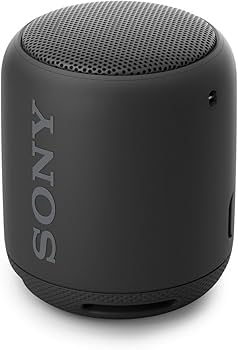 ソニー ワイヤレスポータブルスピーカー 防水 Bluetooth Amazon.co.jp: ソニー ワイヤレスポータブルスピーカー SRS-XB10