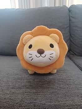 61XByww4EVL._AC_UF350,