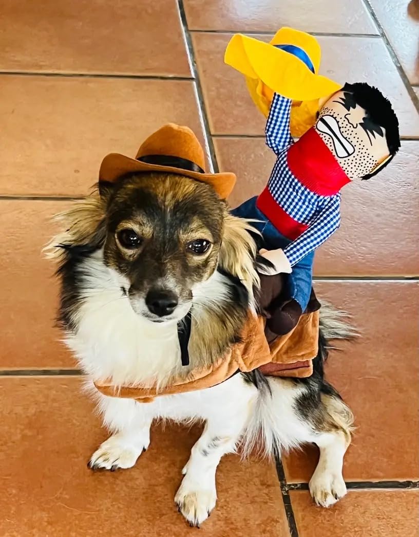 Costume da cowboy per cani e gatti – Vestiti Western con sella e statuetta – con chiusura in velcro – Taglie da XS a XXL (Cowboy, M)
