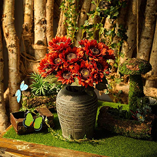 Probióticos, Imagen adicional