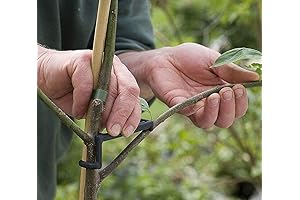 WANLIAN Fruit Branch Spreader: Optimize Tree Growth and Production