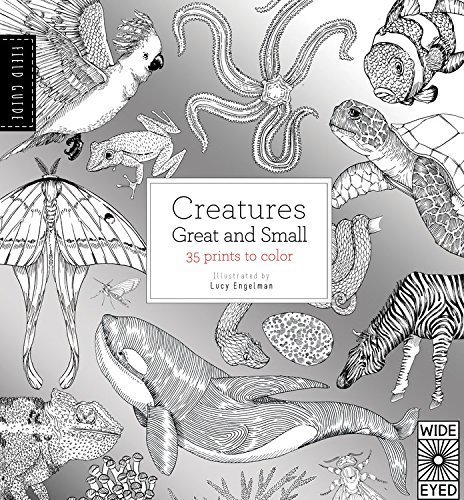 Creatures Field Guide Field Guide: Creatures Great and Small: 35 prints to color by Valeries ...