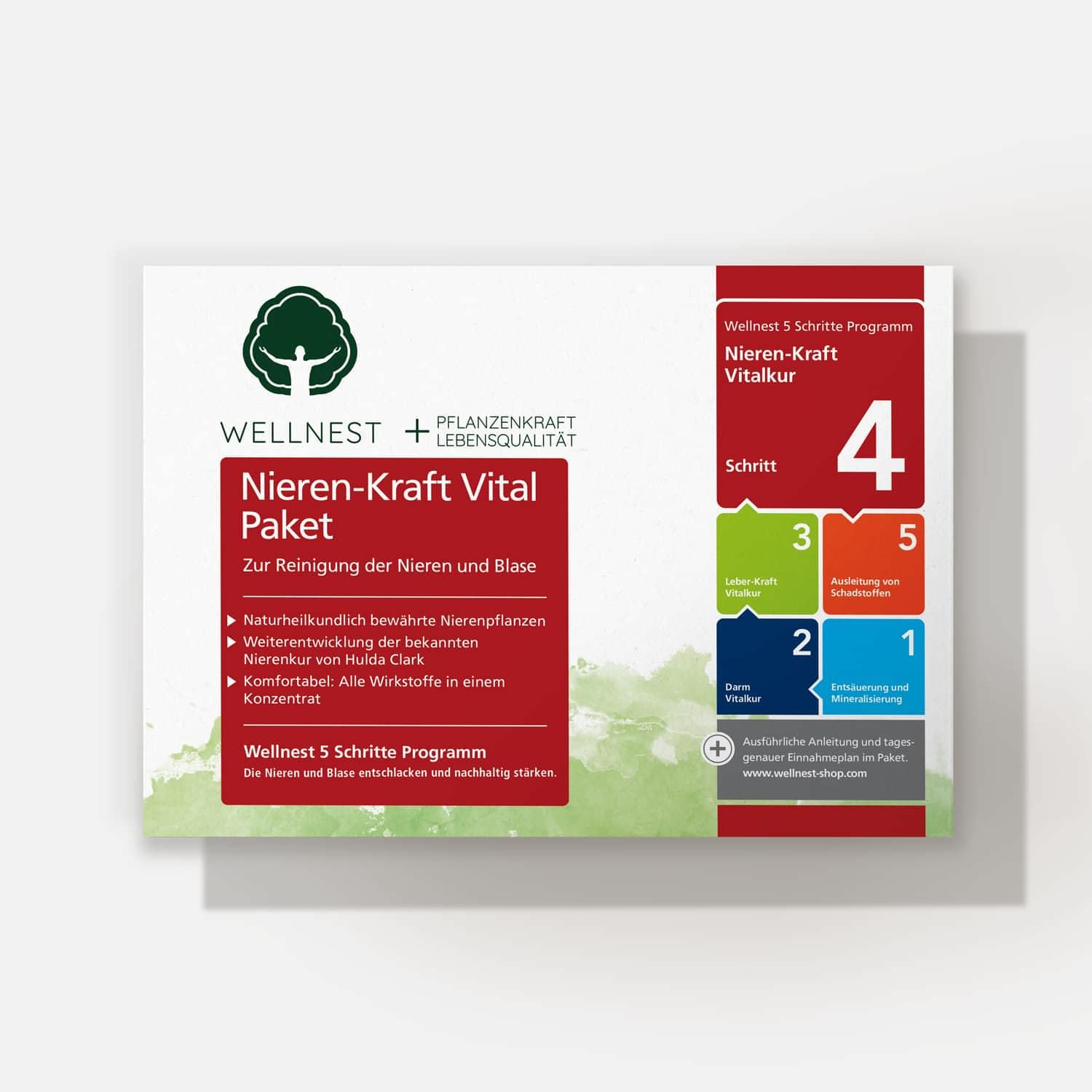 Nieren-Kraft Detox-Kur-Paket (Entgiftungs-Kurpaket für 30 Tage Nierenreinigung nach Hulda Clark) - 100% pflanzlich - einfache Handhabung inkl. Magazin