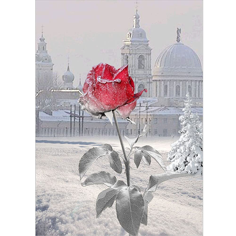 Broderie Diamant Strass Complet Rose Rouge : Kit 5D Grand Format Luxe