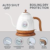 Vista 2 de CloudHand Hervidor eléctrico de cuello de cisne con termómetro, hervidor de agua caliente de acero inoxidable, tetera para café y té, apagado