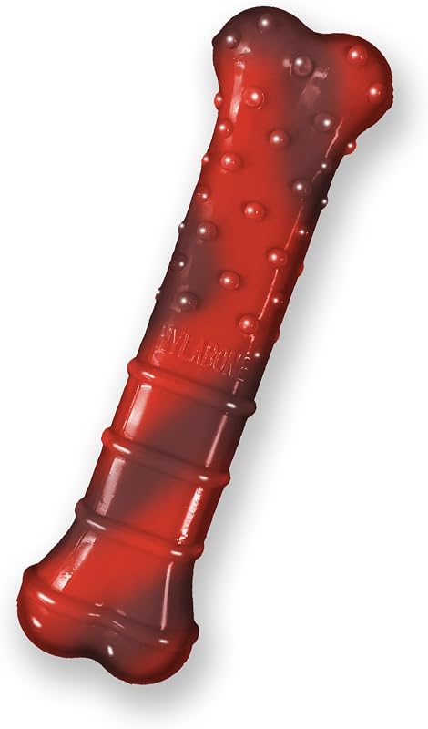 Nylabone Power Chew Juguete masticable para perros con hueso texturizado, sabor a carne seca, X-Small | Durable, de larga duración, desaconseja la masticación destructiva, texturas que limpian los dientes, sabor en todas partes, para perros de hasta 15 libras