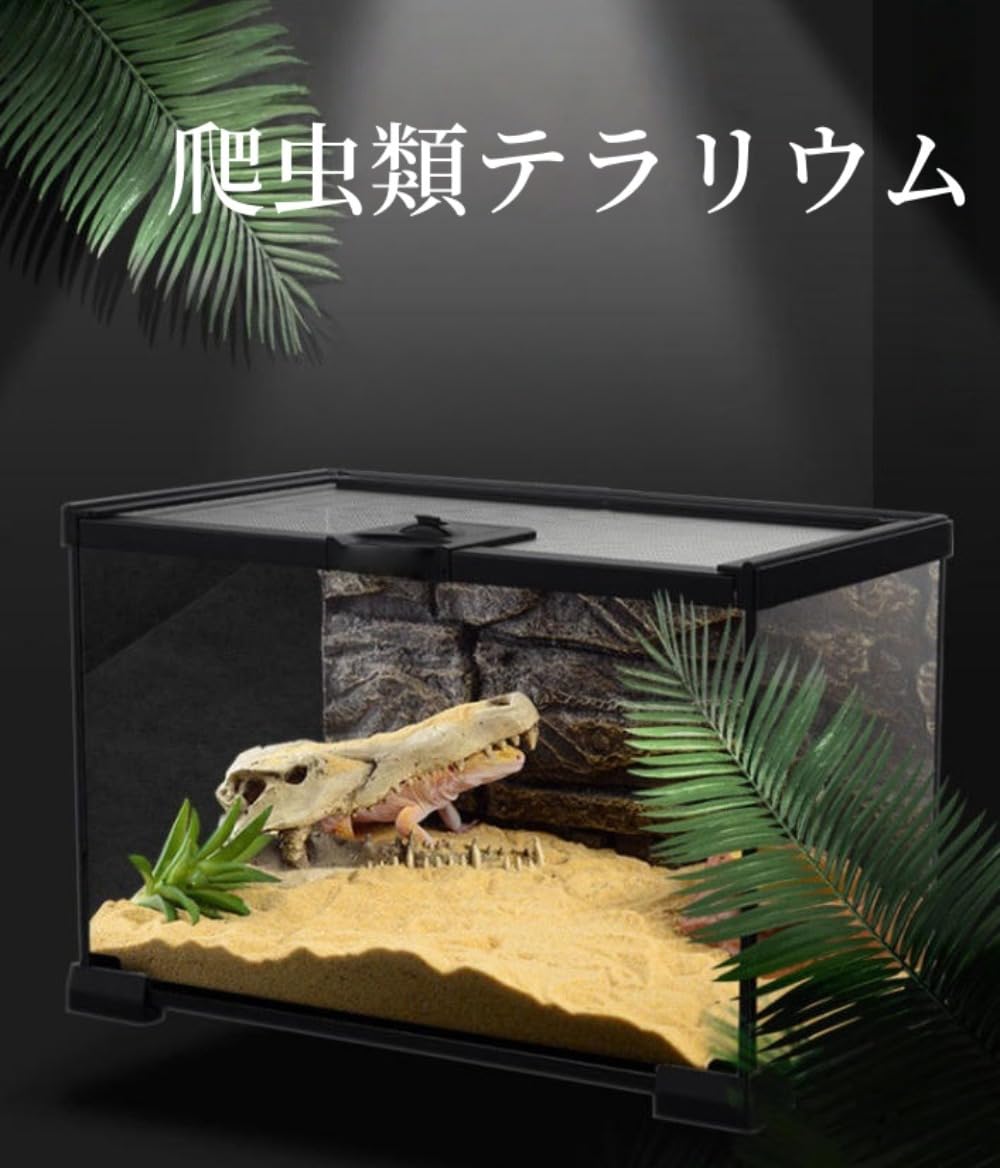 Amazon | Tepototo グラステラリウム 爬虫類ケージ 飼育ケース トカゲ