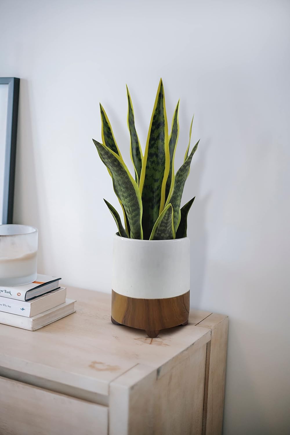 GreenBoxx 18" Artificial Snake Plant Sansevieria - Large Pot - Portable Faux Potted Snake Decor - Fake Green Indoor House Plant for Modern Home Decor, Window, Shelf - Mother in Law Tongue Plant