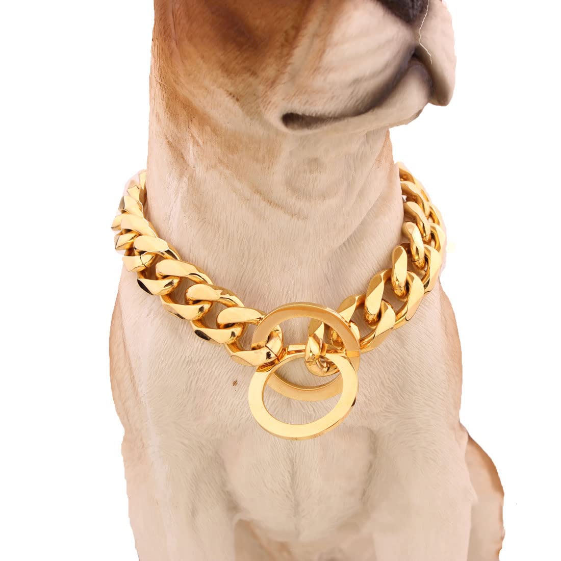 Collare a Strozzo a Catena per Cani in Oro da 15 mm, Collegamento Cubano Solido, Resistente alla Masticazione Resistente Collari a Catena da Addestramento