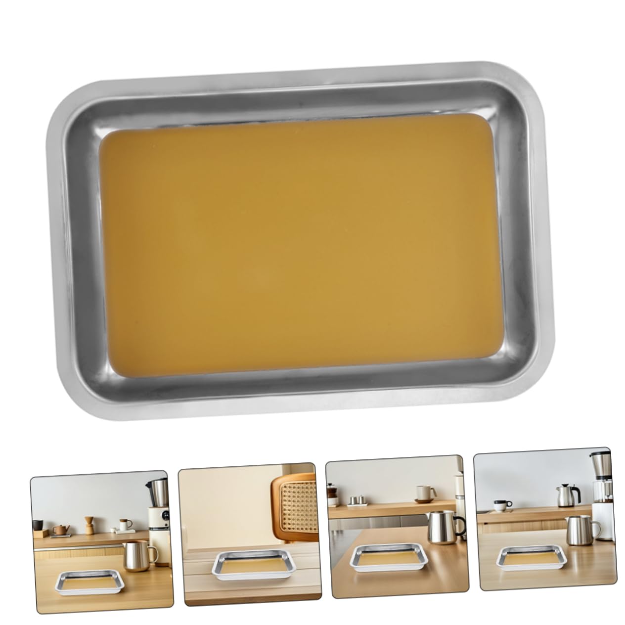 ABOOFAN 2 pezzi Vassoio da Dissezione Inox Strumento Professionale per Esperimenti Biologici per Scuole e Istituti Ricerca Facile da e Resistente Schizzi