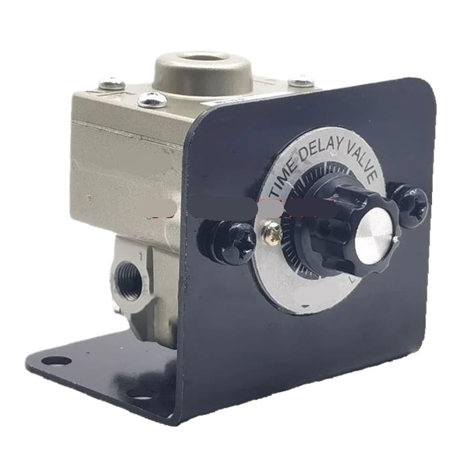 LEOTNNDQ Pneumatic delay valve - 0-60 seconds VR2110-01-X102 VR2110-N01 -F01 -X3(VR2110-01-X3)