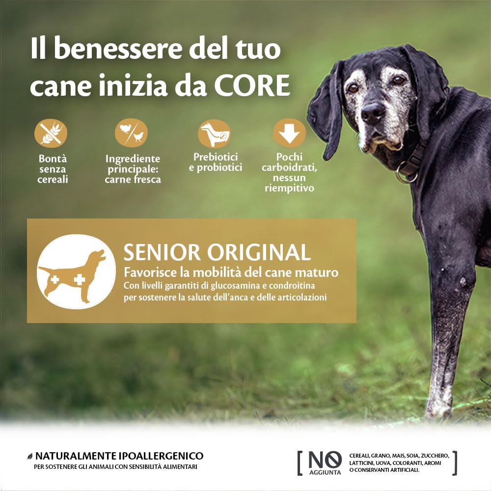 Wellness CORE Senior 10 kg, Pollo & Tacchino – Crocchette Per Cani | Cibo Secco Per Cani Anziani, Senza cereali, Naturale, Ipoallergenico, Ricco di Proteine e Carne, Fianchi e Articolazioni